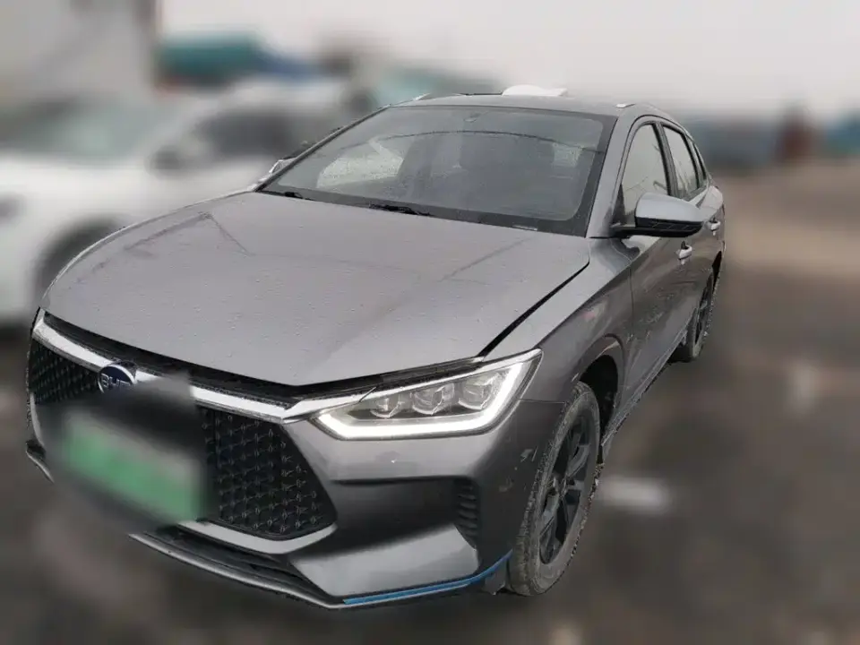 BYD e2 Luxury Edition 2022