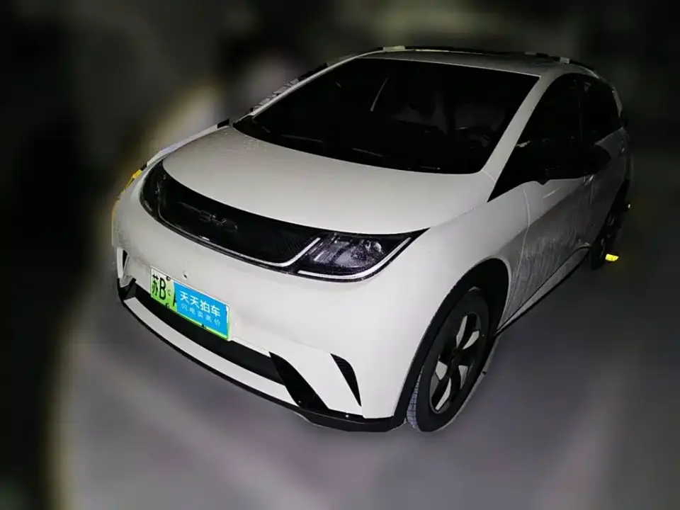 BYD Dolphin Glory Edition 420km Freedom Edition 2024
