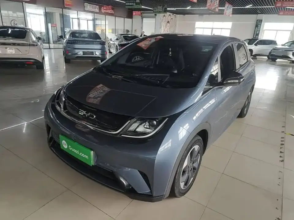 BYD Dolphin Glory Edition 420km Freedom Edition 2024