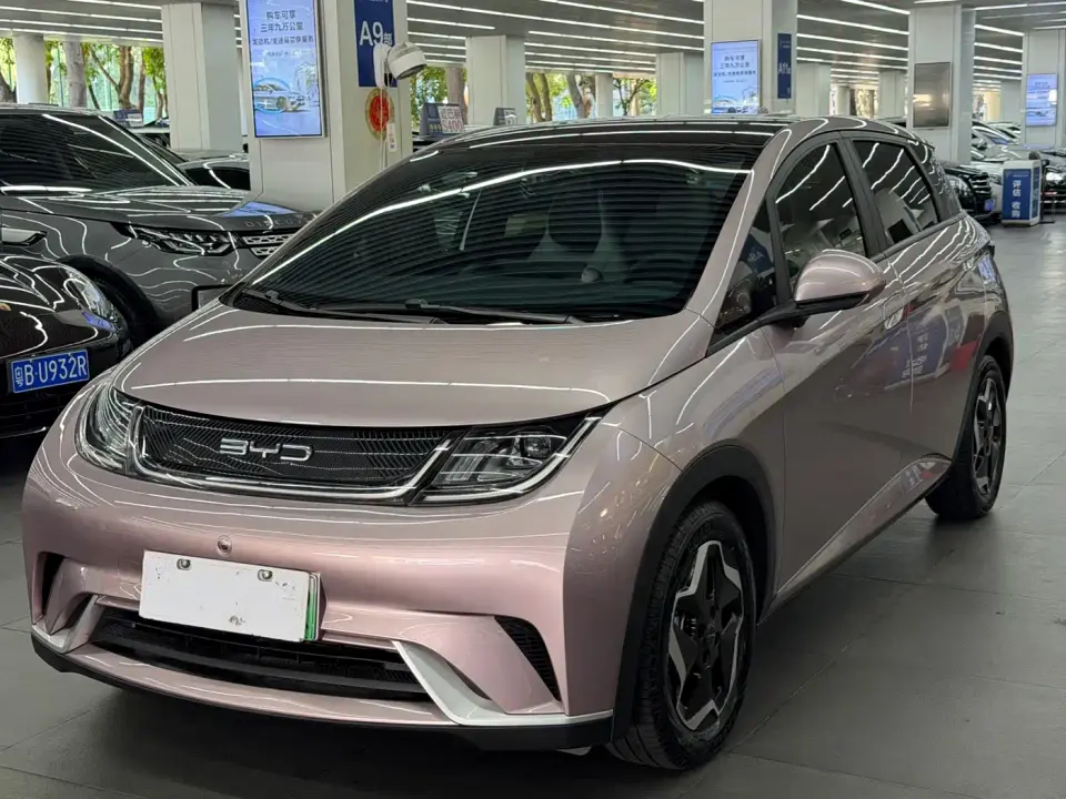 BYD Dolphin Model 405km Fashion Edition 2022