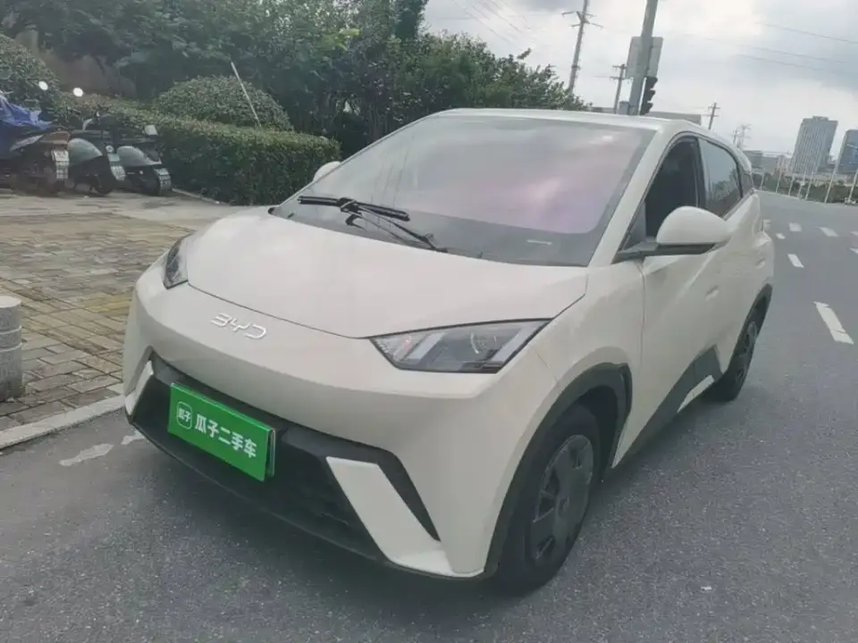 BYD Seagull Glory Edition 305km Vitality Edition 2024