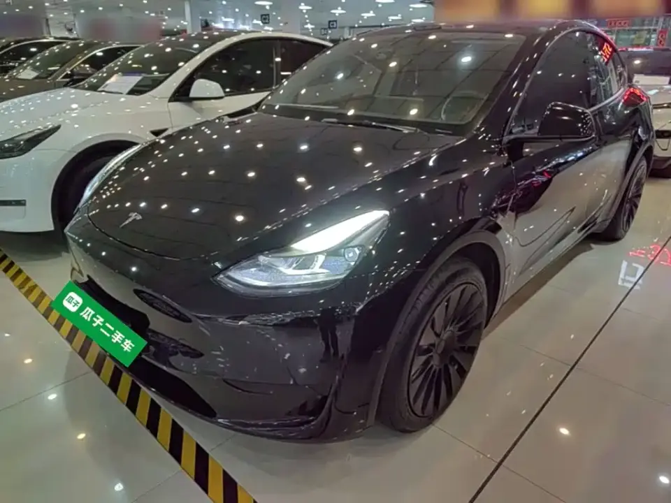 Tesla Model Y Rear-Wheel Drive Version 2022