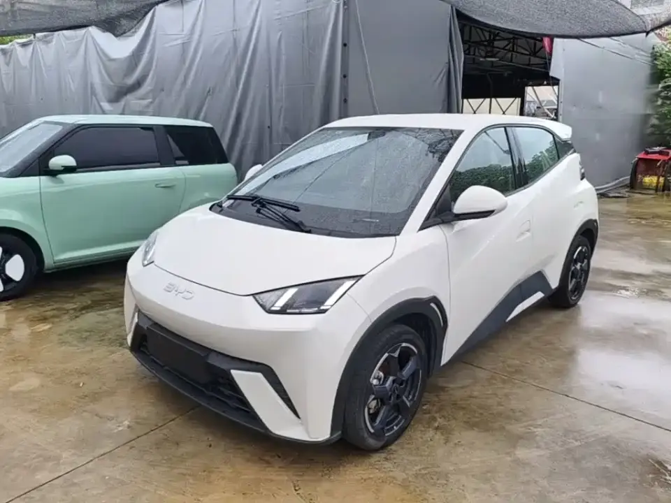 BYD Seagull Glory Edition 405km Soaring Edition 2024