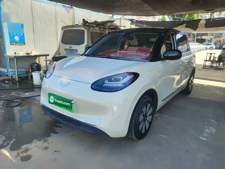 Wuling Motors Wuling Bingo Model 333km Joy+ Version 2023
