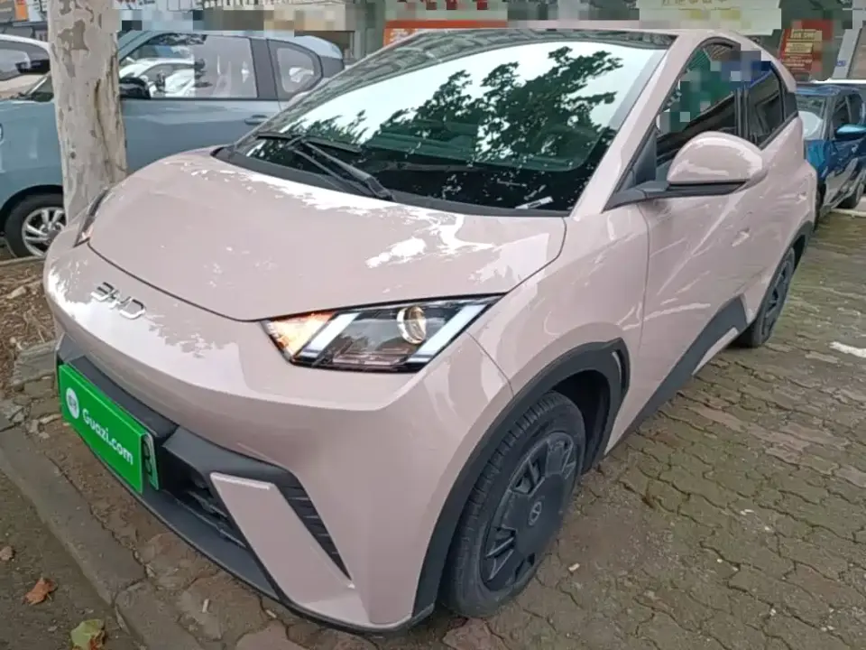 BYD Seagull Glory Edition 305km Vitality Edition 2024