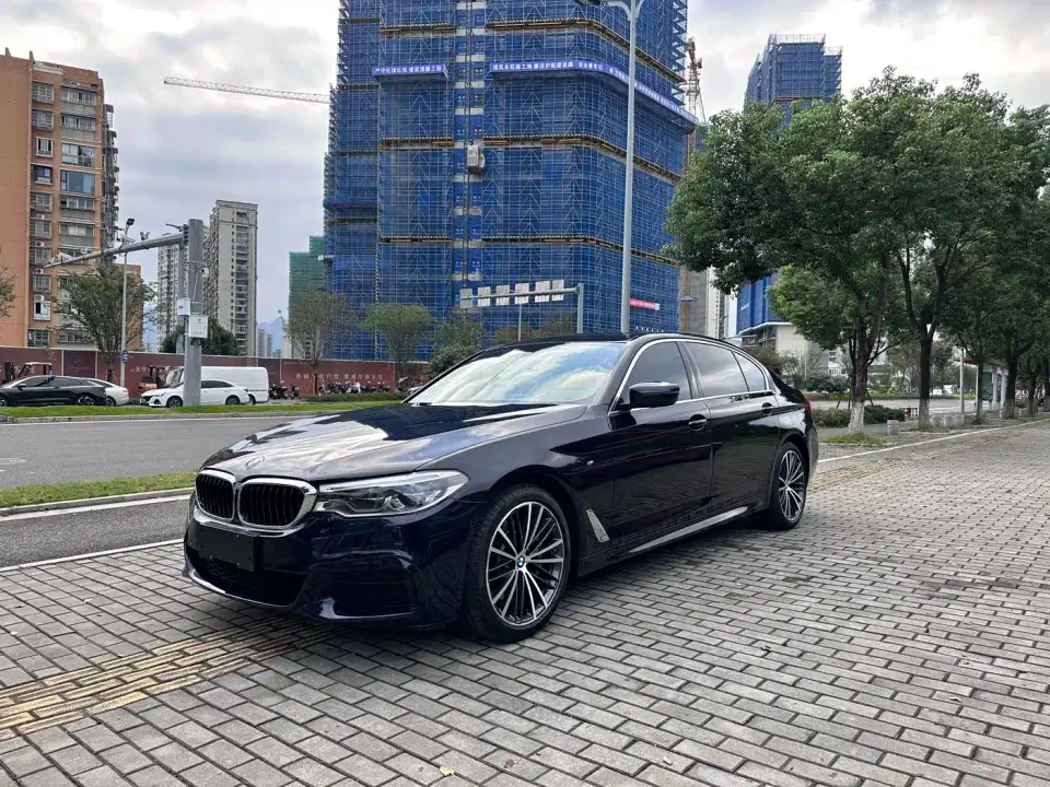 BMW 5 Series 530Li Leading M Sport Package 2020