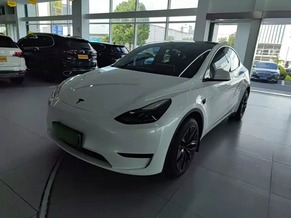 Tesla Model Y Rear-Wheel Drive Version 2024