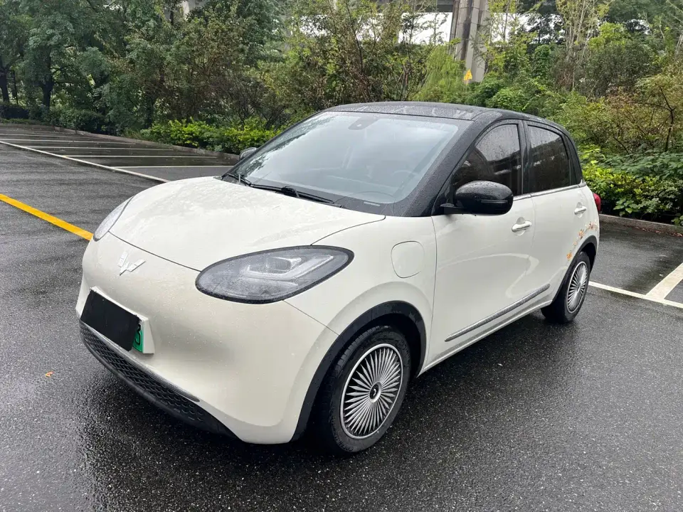 Wuling Motors Wuling Bingo Model 333km Telepathic Connect+ Version 2023