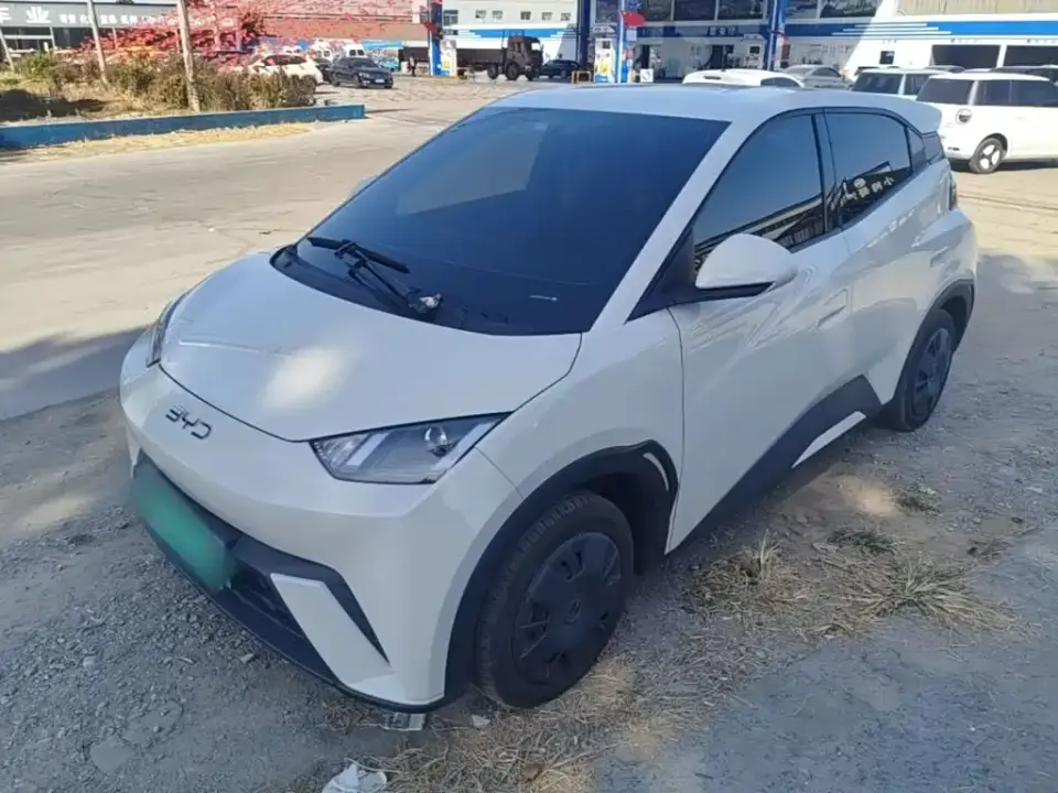 BYD Seagull Glory Edition 305km Vitality Edition 2024