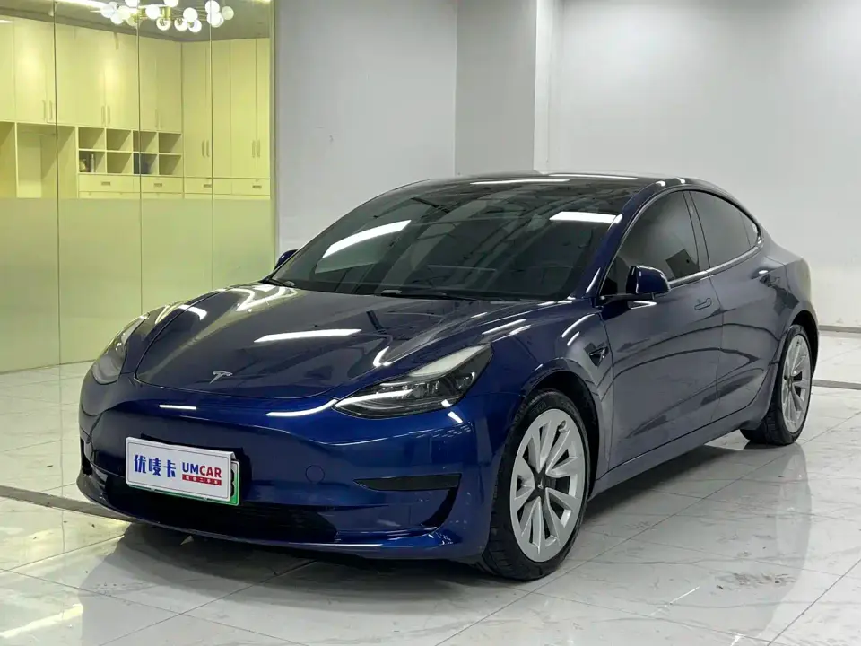 Tesla Model 3 Model Rear-Wheel Drive Version 2022