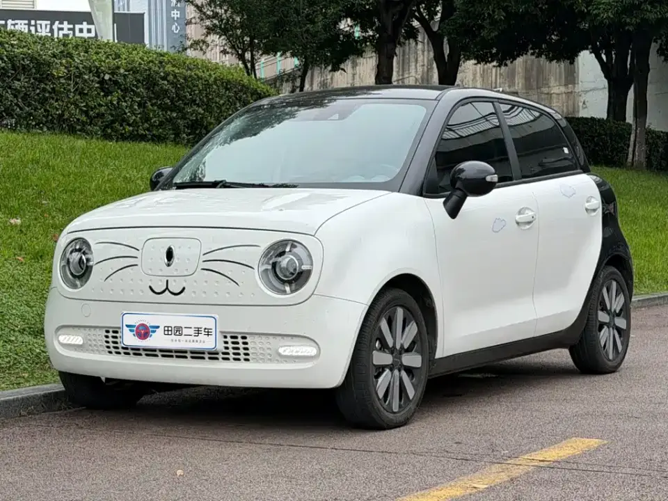 ORA Black Cat 351km Luxury Model 2021