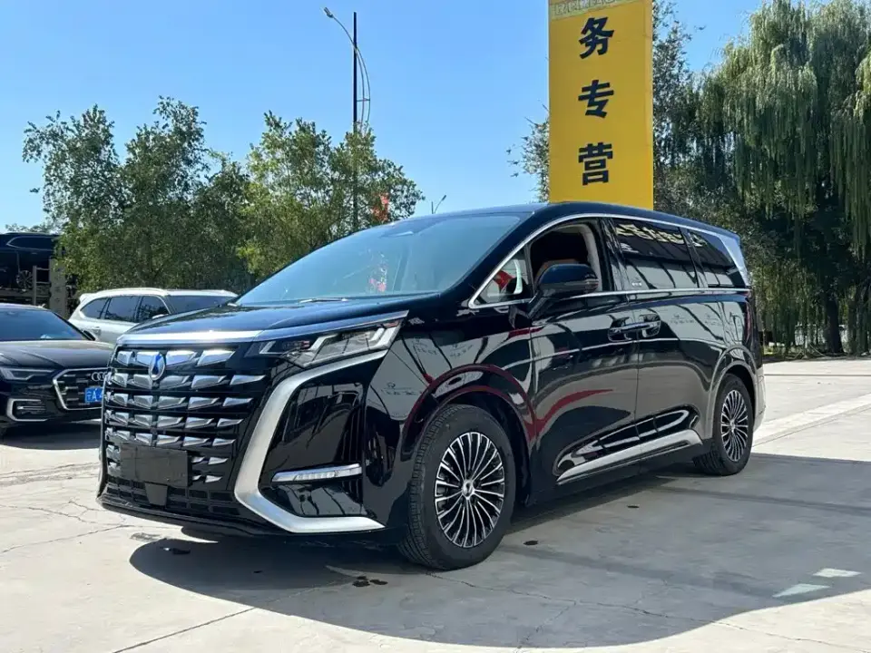 Denza D9 DM-i 1050 Premium 2024