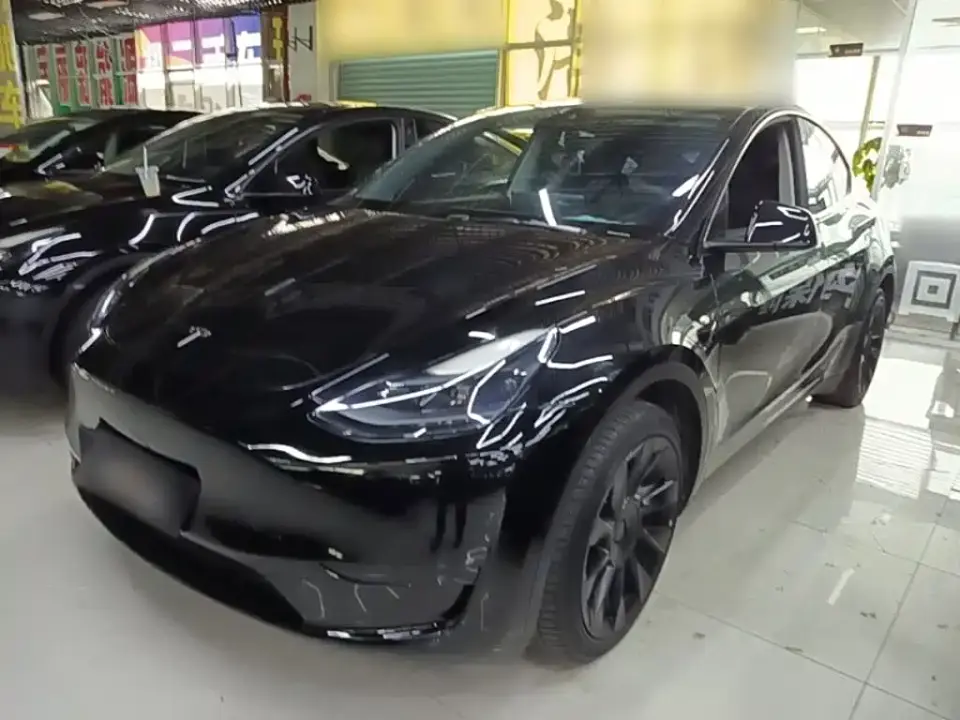 Tesla Model Y Rear-Wheel Drive Version 2022