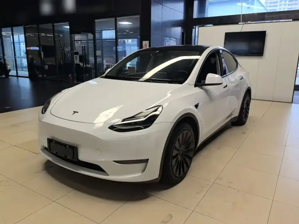 Tesla Model Y Standard Range Rear-Wheel Drive 2021