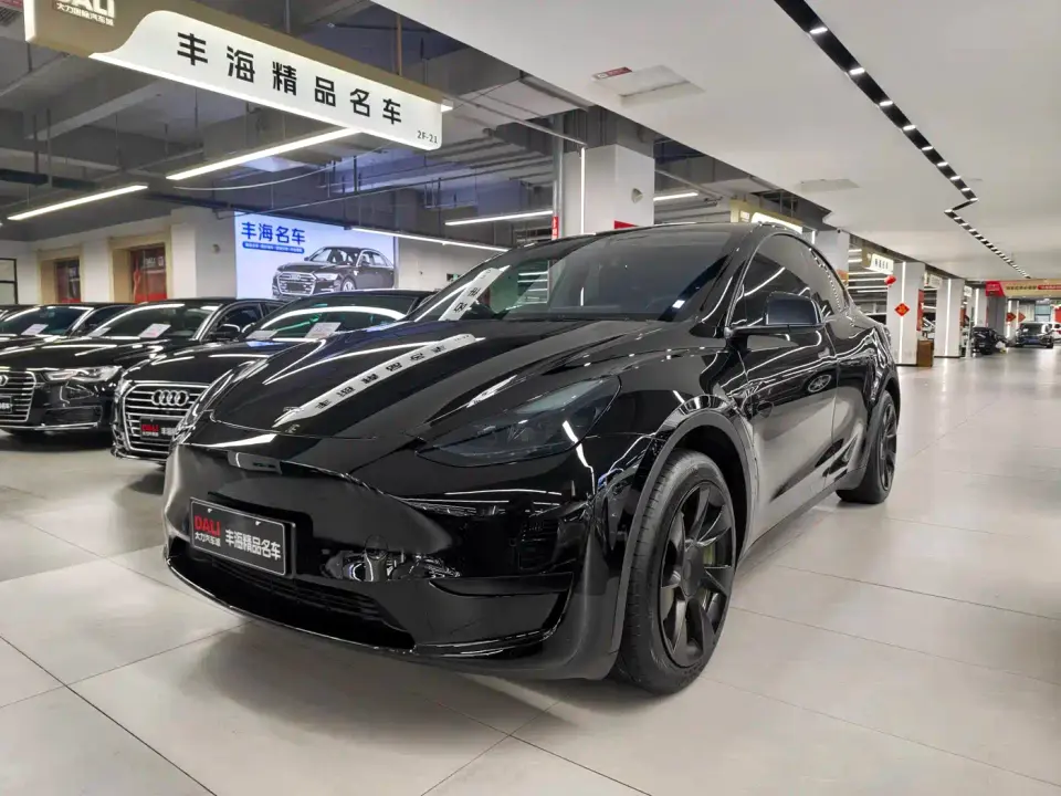 Tesla Model Y Rear-Wheel Drive Edition 2023