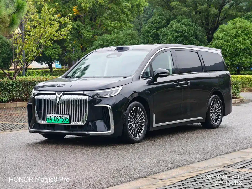Voyah Auto Voyah Dreamer Model PHEV Basic Version 2025