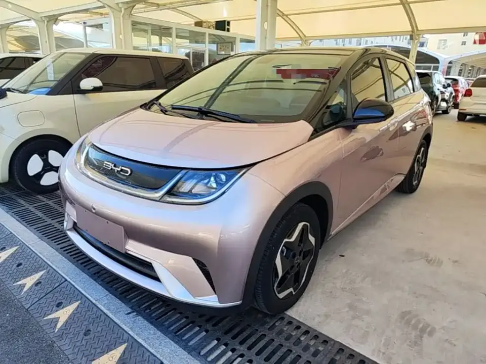 BYD Dolphin Model 405km Fashion Edition 2022