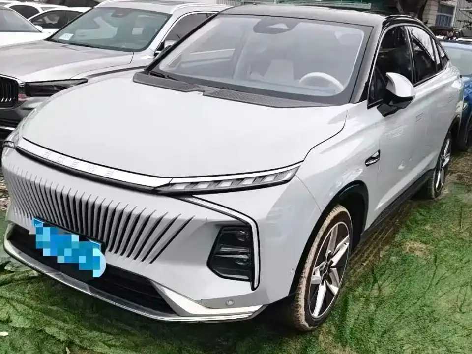 Roewe Whale 2.0T Blue Whale Edition 2022