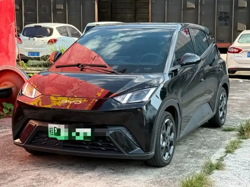 BYD Seagull Glory Edition 405km Soaring Edition 2024