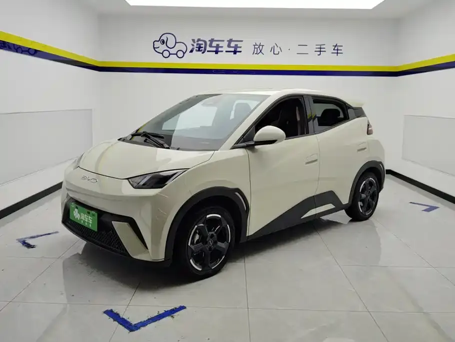 BYD Seagull Flying Edition 2024