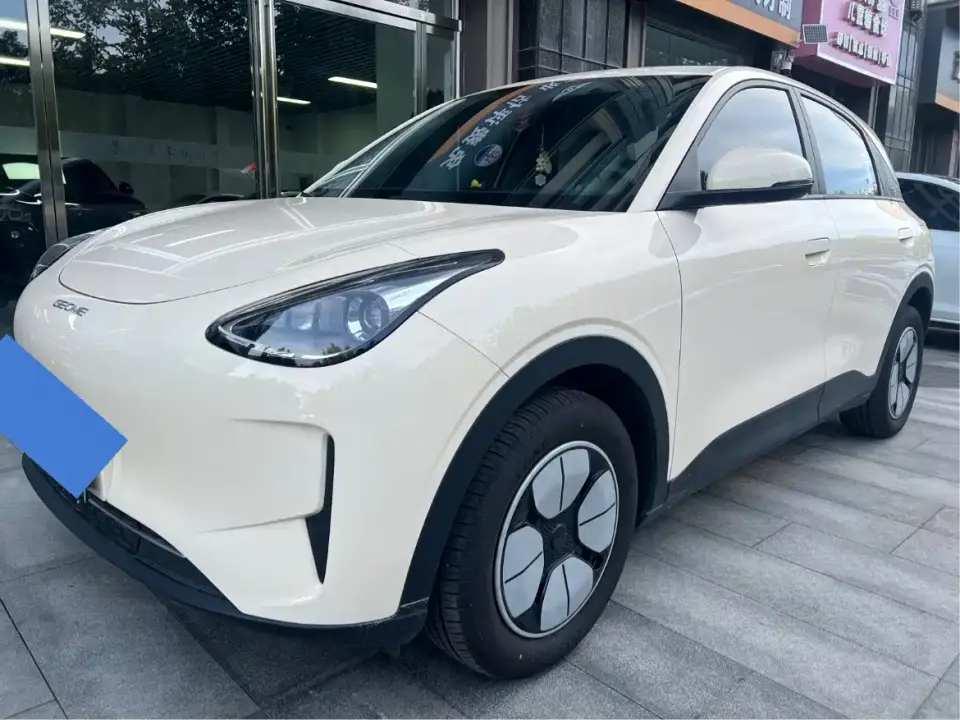 Geely Galaxy Starry Wish 310km Youth Edition 2025