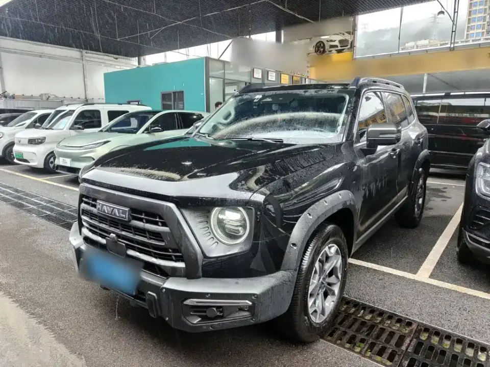 Haval Big Dog 2.0T DCT Chinese Rural Dog Edition 2025