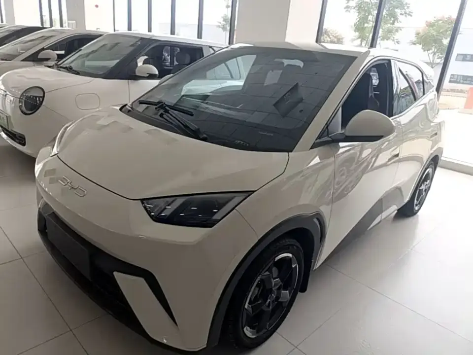 BYD Seagull Freedom Edition 2023
