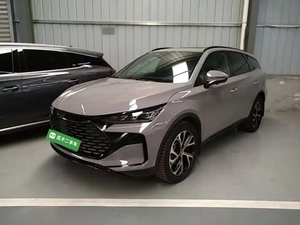 BYD Tang New Energy DM-i 115KM Prestige Type 2025