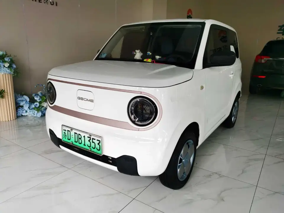 Geely Galaxy Panda Panda Mini 200km Endurance Bear 2023