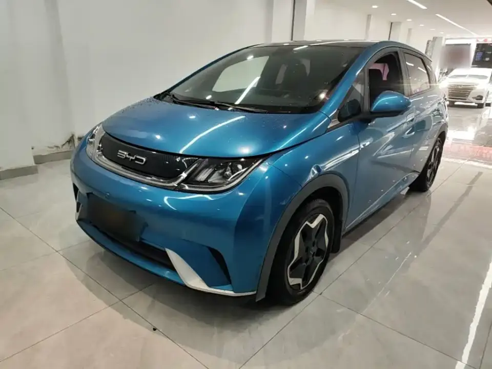 BYD Dolphin Model 405km Fashion Edition 2022