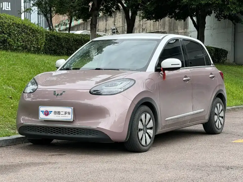 Wuling Motors Wuling Bingo 333km Joyful Version 2024