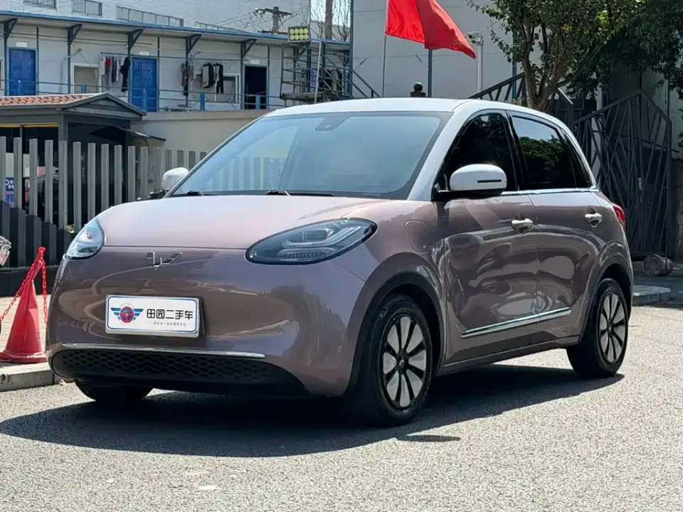 Wuling Motors Wuling Bingo 333km Joyful Version 2024
