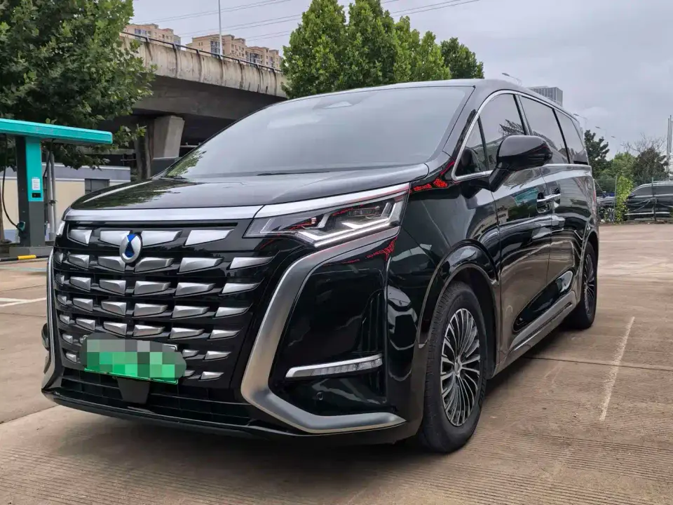 Denza D9 DM-i 1050 Premium 2024