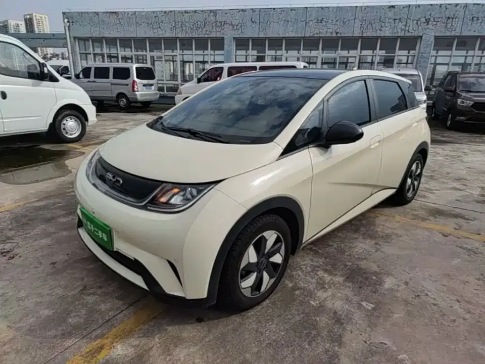 BYD Dolphin Glory Edition 420km Fashion Edition 2024