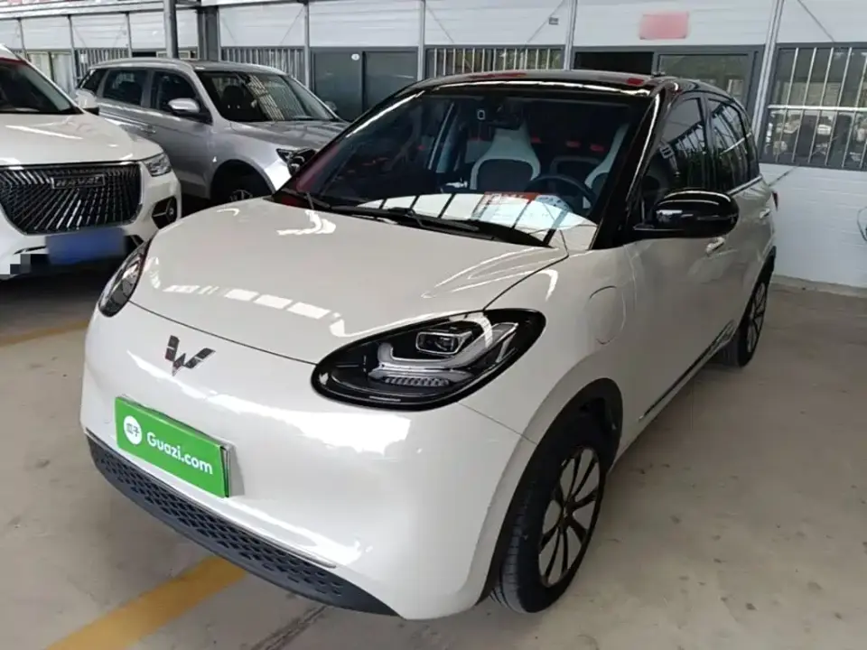 Wuling Motors Wuling Bingo 333km Comfort Edition 2024