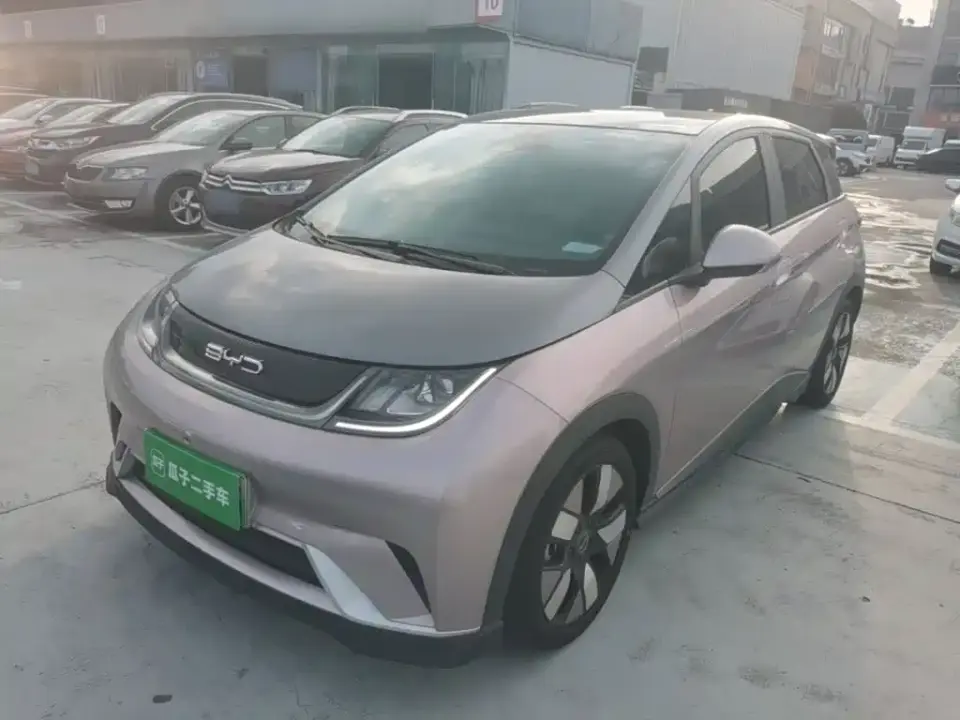 BYD Dolphin 401km Knight Edition 2022