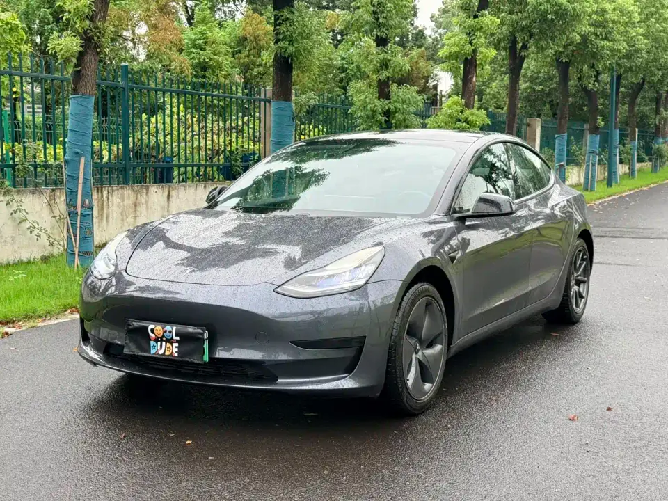 Tesla Model 3 Standard Range Rear-Wheel Drive Upgrade 2020