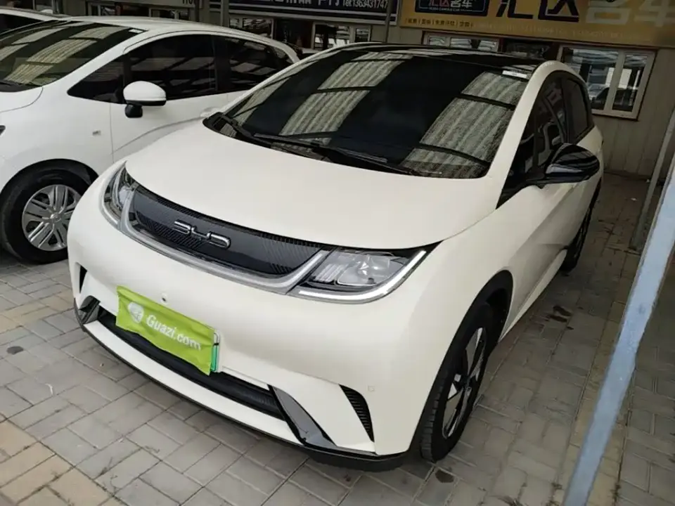 BYD Dolphin 420km Fashion Edition 2023