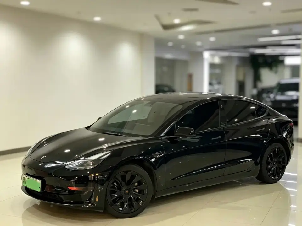 Tesla Model 3 Model Rear-Wheel Drive Version 2021