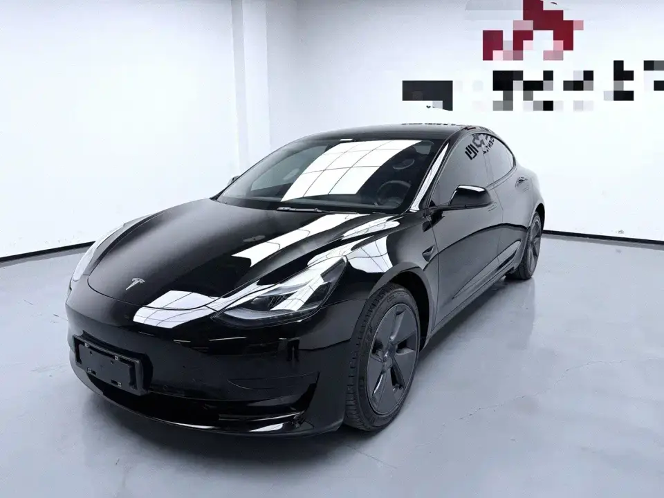 Tesla Model 3 Model Rear-Wheel Drive Version 2022