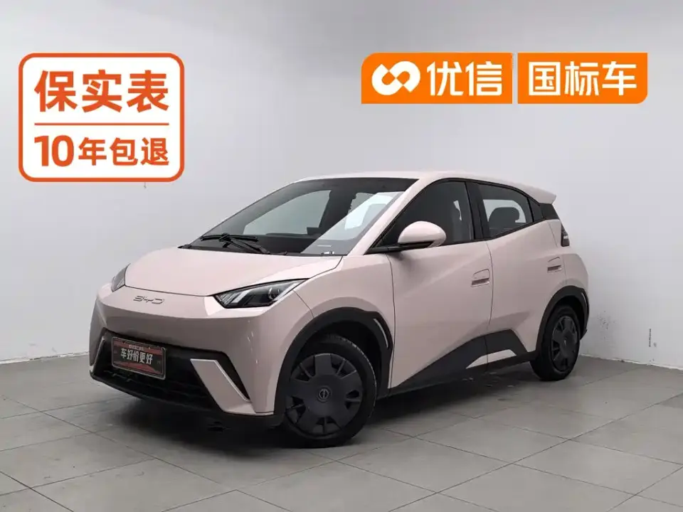 BYD Seagull Glory Edition 305km Vitality Edition 2024