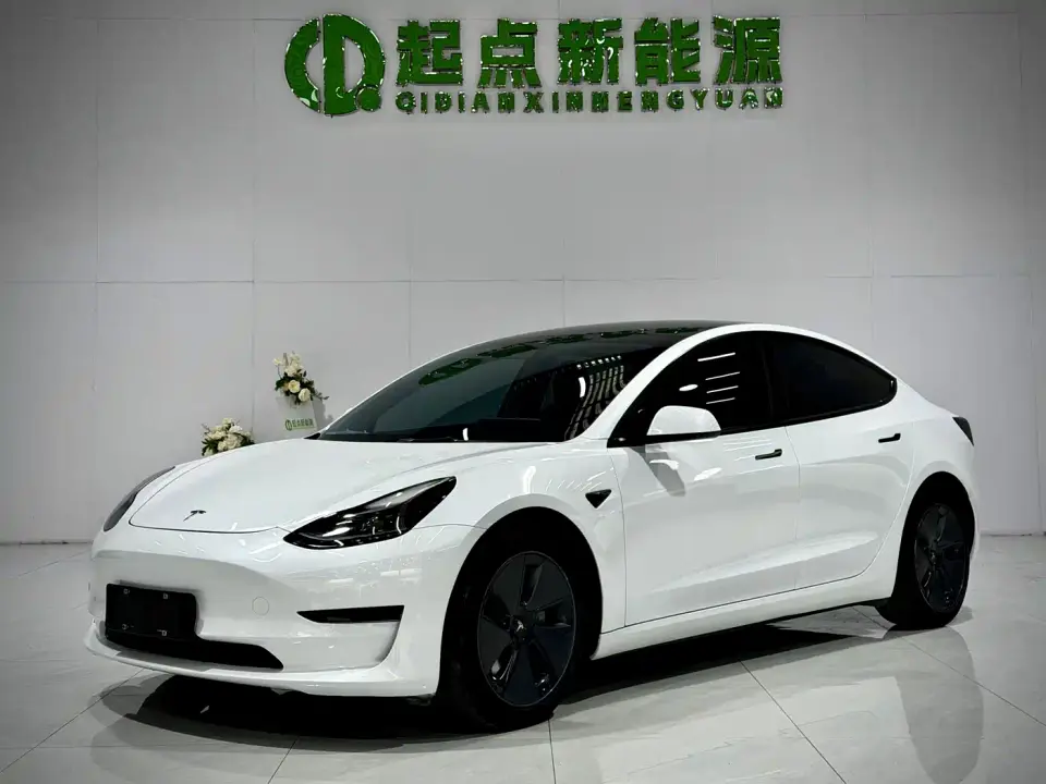 Tesla Model 3 Standard Range Rear-Wheel Drive Upgrade 2021