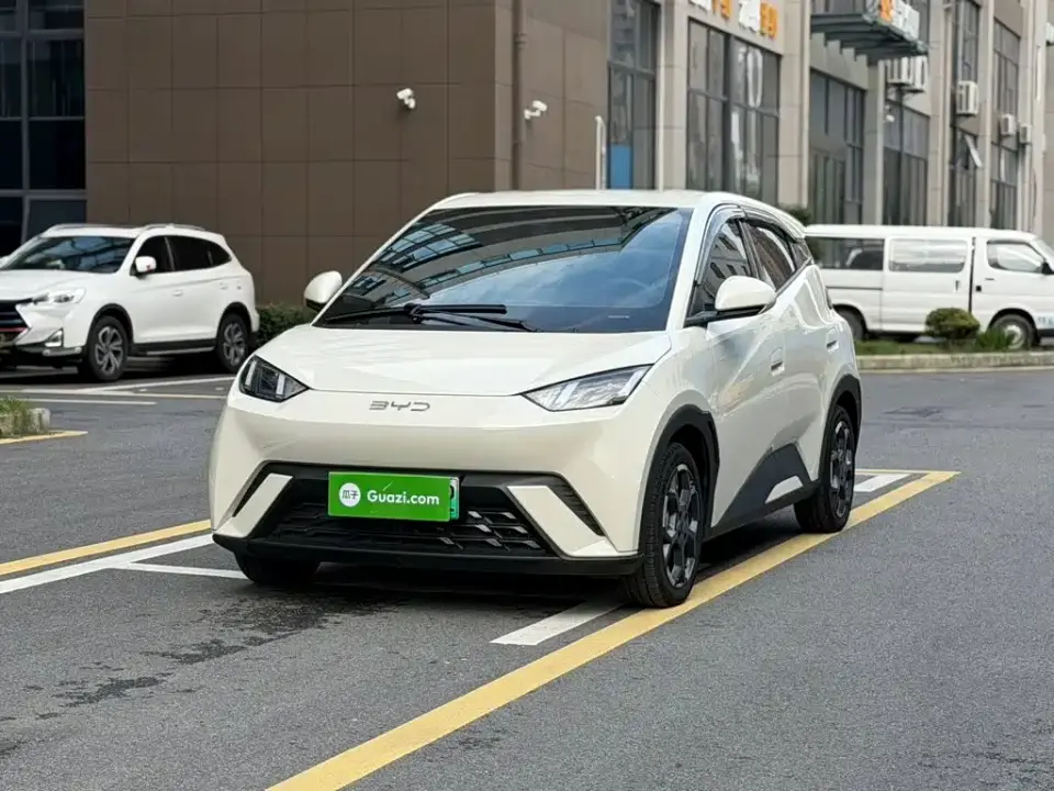 BYD Seagull Glory Edition 405km Soaring Edition 2024