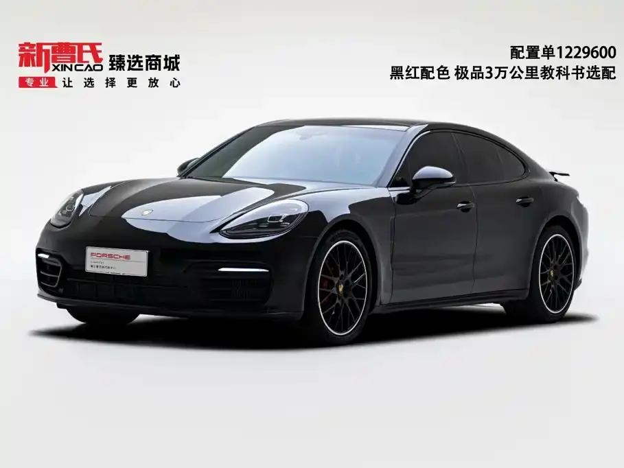 Porsche Panamera Model Panamera 2.9T 2021