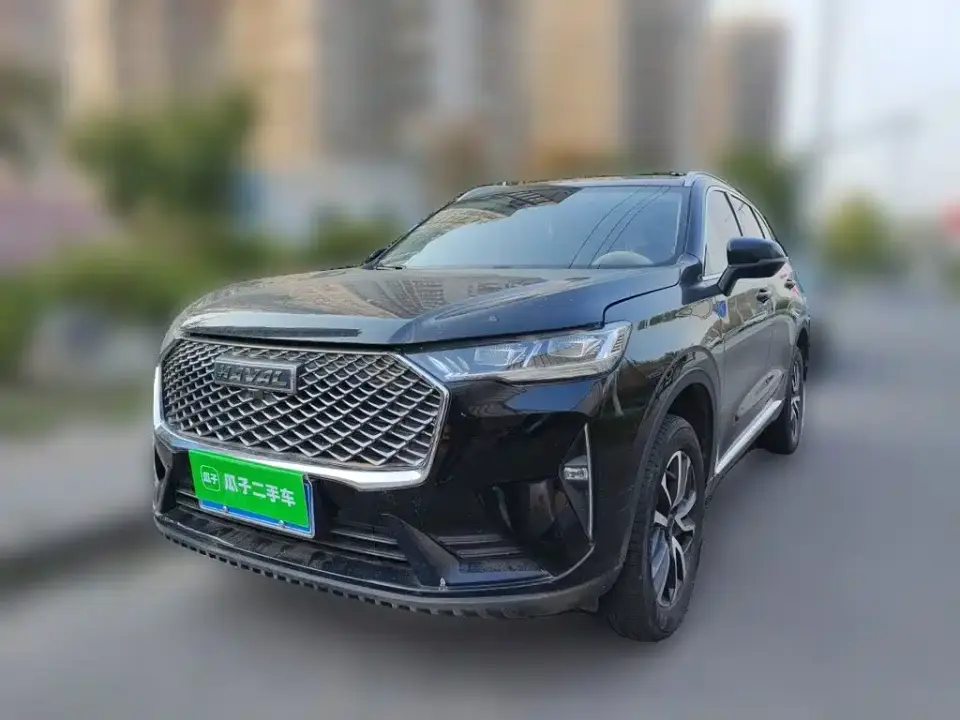 Haval H6 3rd Gen 1.5T Auto 2WD Pro 2024