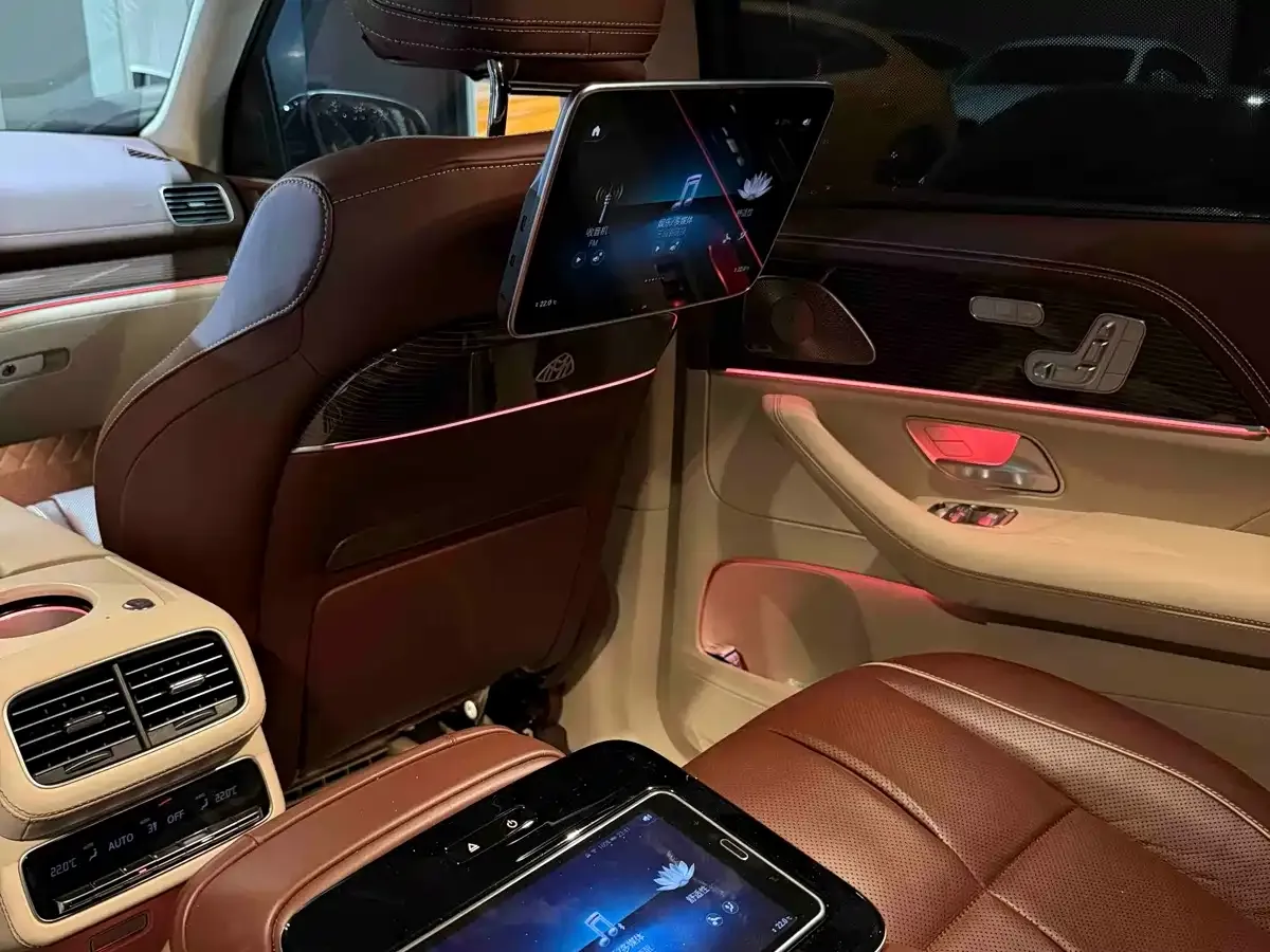 Mercedes-Benz Maybach GLS GLS 480 4MATIC 2023 — фото 16