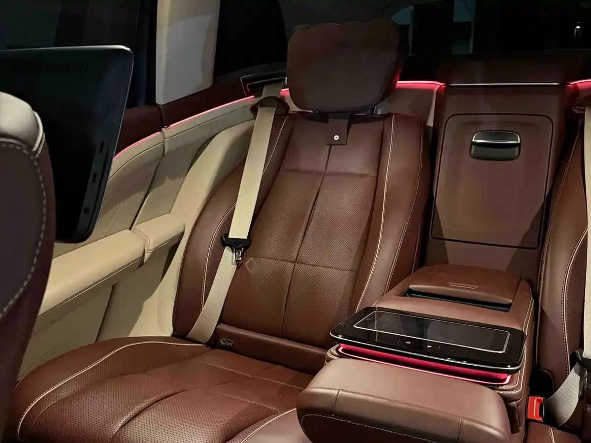 Mercedes-Benz Maybach GLS GLS 480 4MATIC 2023 — фото 15