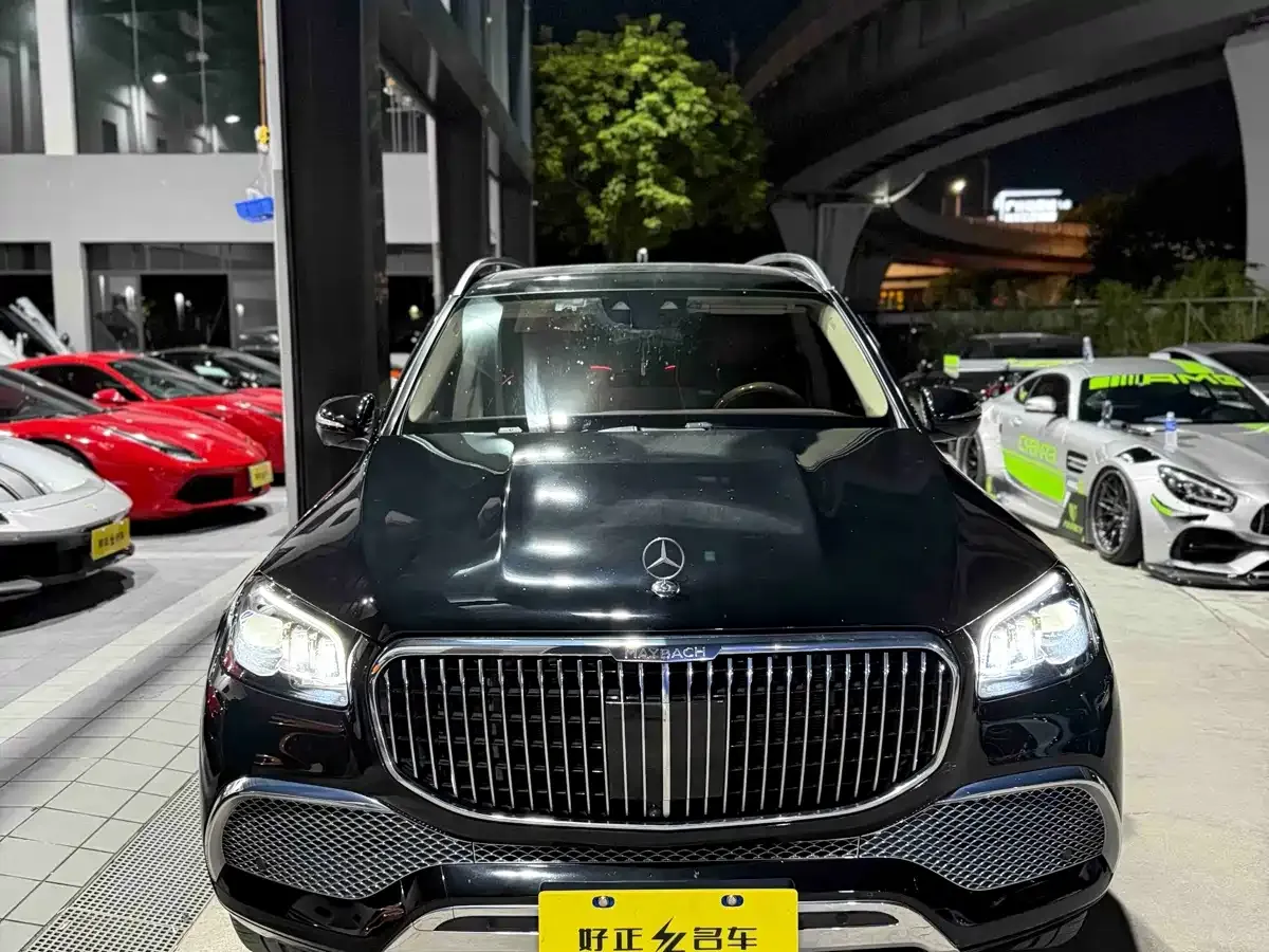 Mercedes-Benz Maybach GLS GLS 480 4MATIC 2023 — фото 2