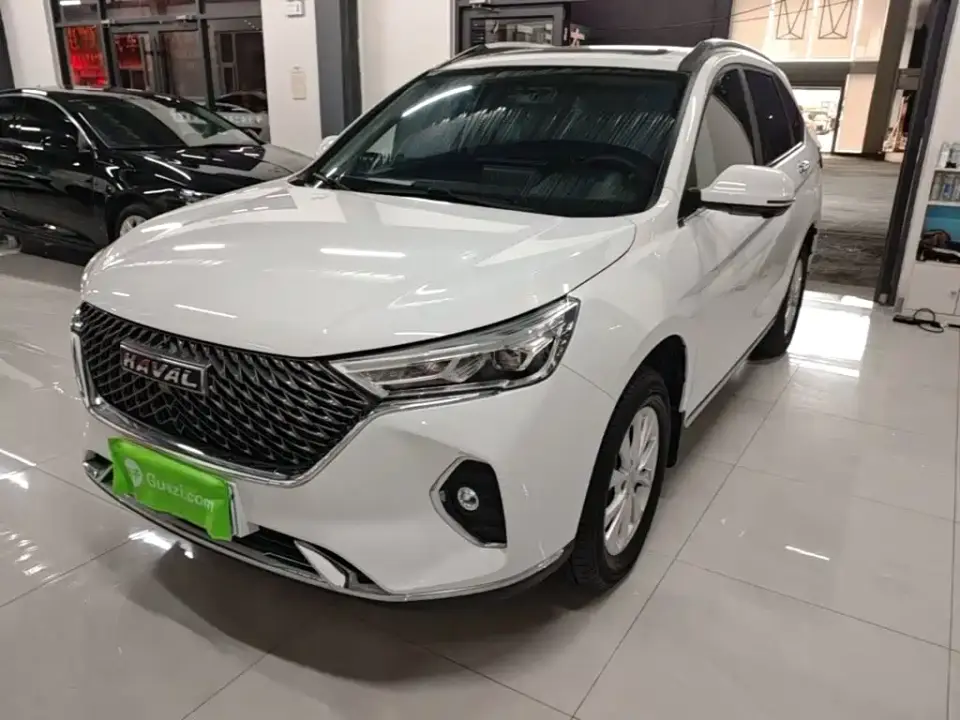 Haval M6 PLUS 1.5T DCT Liu Yan Co-branded Edition 2022
