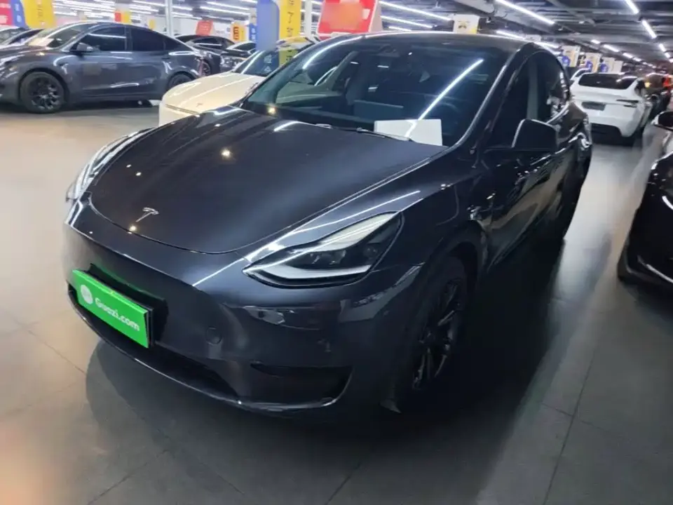 Tesla Model Y Rear-Wheel Drive Version 2024